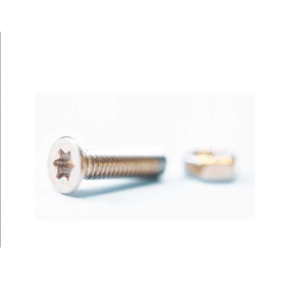 Spårskruv M4 16 mm – Torx, Rostfri