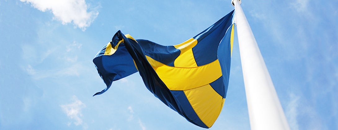 Tillbehör Flaggstänger