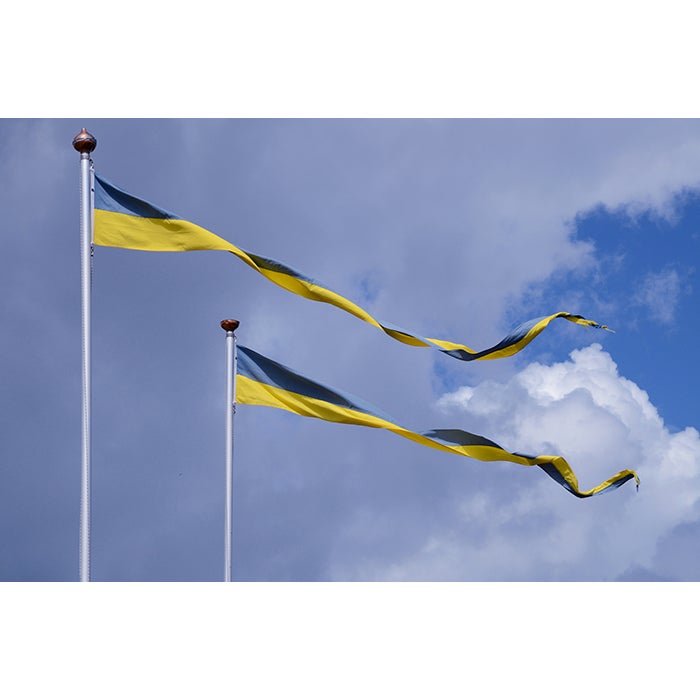 Vimpel Svensk 200 cm (6 m)