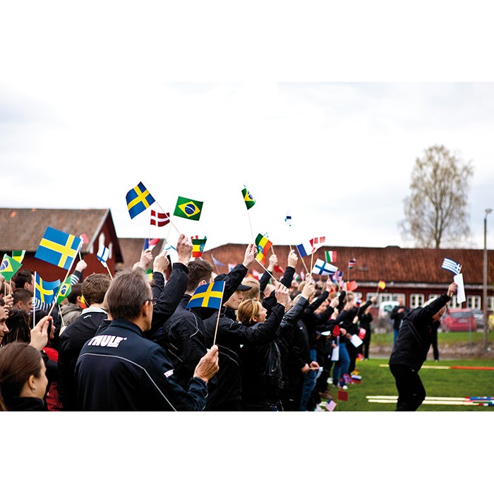 Pappersflaggor med plastpinne - 4 färger