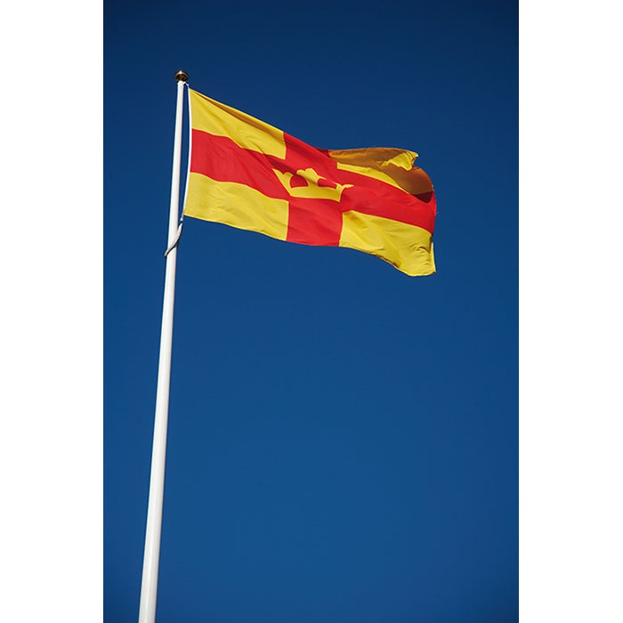 Flagga 240x150 cm – 3 färger screentryckt