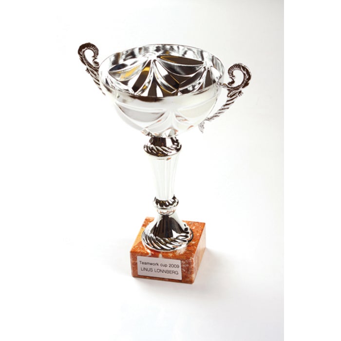 Graverad skylt max 10 cm² – Aluminium, 2-rad Text till Pokal, Diamantgravyr