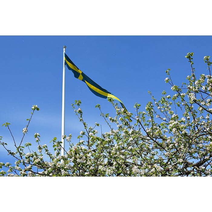 Vimpel Svensk Kors 200 cm (6 m)