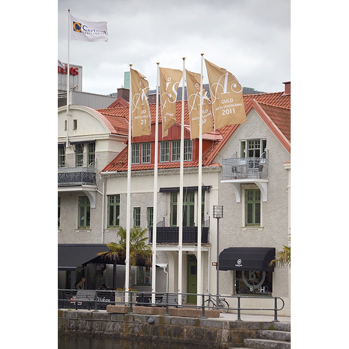 Flagga 150x300 cm stående – 1 färg screentryckt